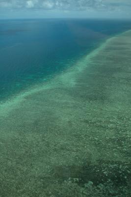 Aerial Reef 3.jpg