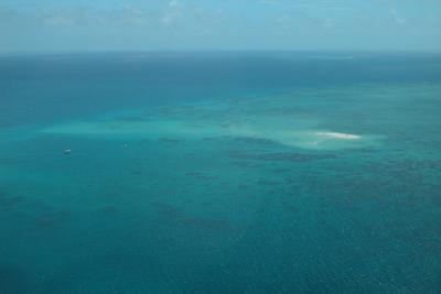 Aerial Reef 4.jpg