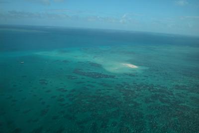 Aerial Reef 5.jpg