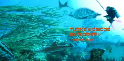  Scuba Diving on the Turks & Caicos Explorer II