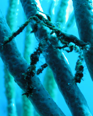 DSCN0228v1.jpg