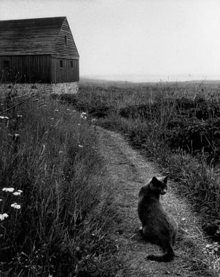 Louisburg Nova Scotia