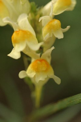 IMG_1691 768.jpg