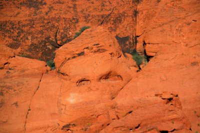 Face in the Stone