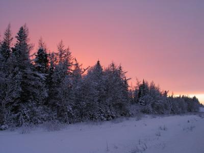Winter near Deer Lake