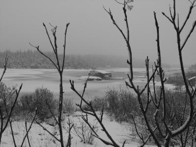 Sam's Pond in Winter