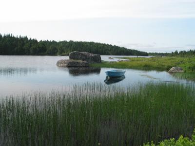 Sam's Pond in Summer