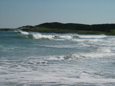 Surf's Up in Lumsden