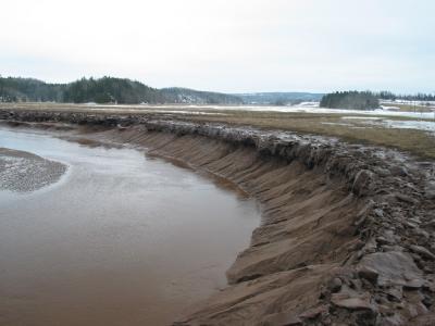 Avon River Mud in Winter