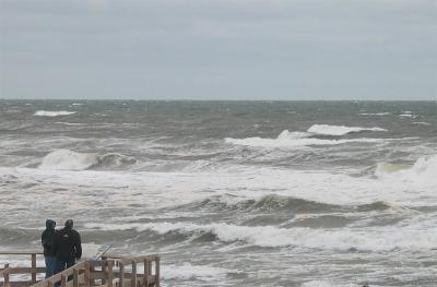 g3/60/632460/3/55655779.surf.jpg
