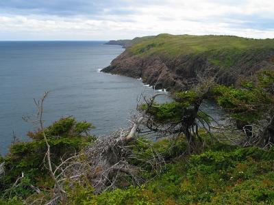 Cliffs on the Coastline