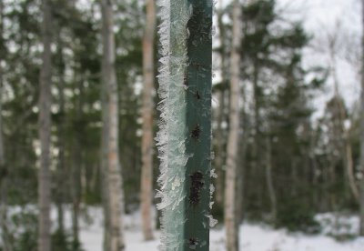 Frost on a Bar