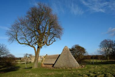 The Ice House