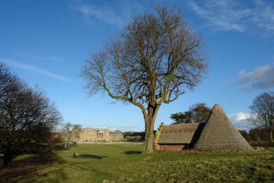 The Ice House