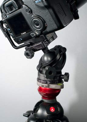Canon 5D with Acratech Ultimate Ball Head and Kirk BL-5D plate