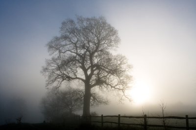 Ardingly Reservoir, Sussex