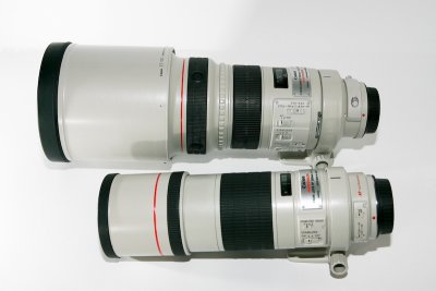 Canon 300mm f2.8 & f4