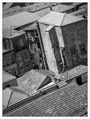 IMG_4596_1_bw_gg.jpg