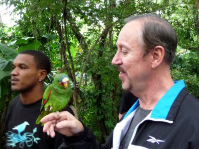 Roatan Butterfly & Bird Park