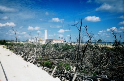 Damage in Costa Maya, Mexico from Hurricane Dean which Hit in Aug 2007