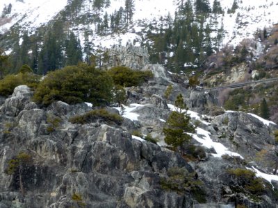 'Tea House' circa 1929 on Top of Fannette Island