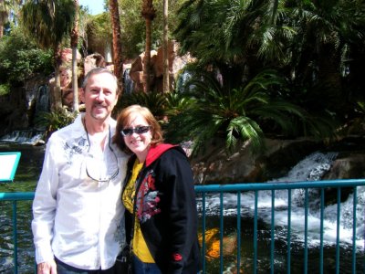 At the Flamingo Hotel Natural Habitat