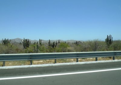Desert Mountain Terrain near San Jose del Cabo
