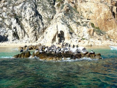 Pelican Rock Near Land's End, Baja Peninsula