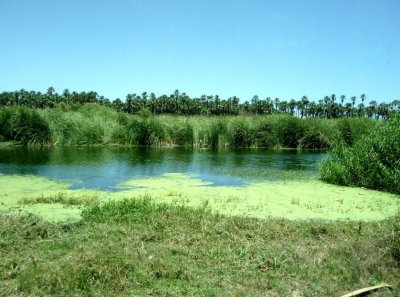 San Jose Estuary