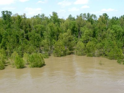 Mississippi Overflowed Its Banks