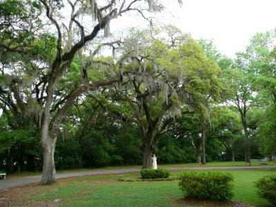 Grounds of the Myrtles