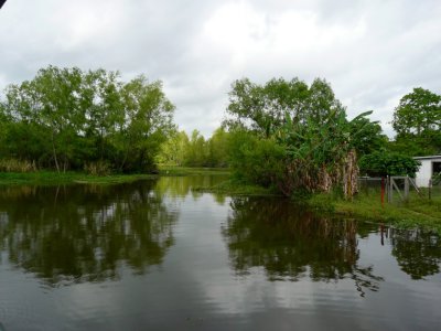 Arrival at Swamp for Tour