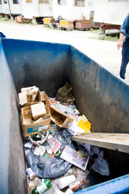 Raccoons in the dumpster