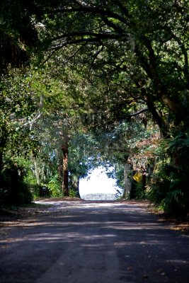 Beaufort road looking towards the water