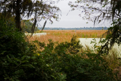 Looking towards the Ashley