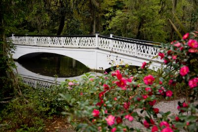 Beautiful garden bridge