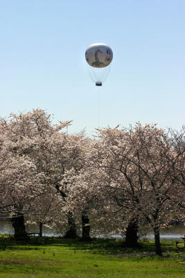 Zoo baloon