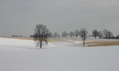 Valley Forge in snow