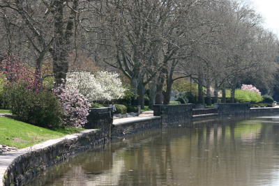 Springtime