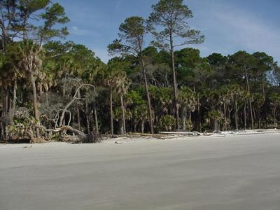 Hunting Island beach 2