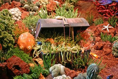 Flower show 2004