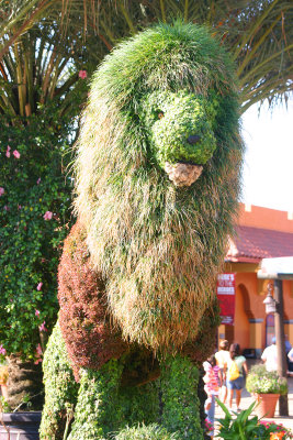 Lion topiary