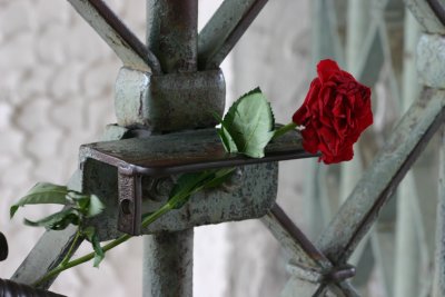 Rose in the entrance gate to the Buchenwald Concentration Camp
