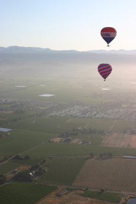 Early morn in Napa Valley