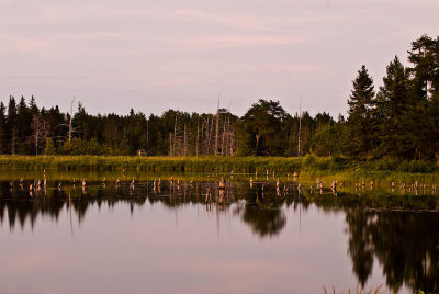 DSC_8305.jpg