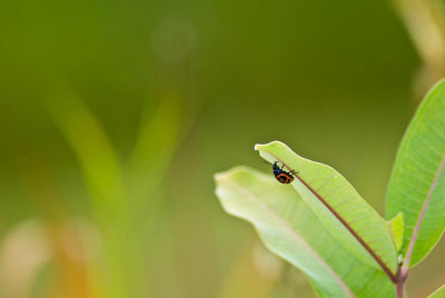 DSC_8483.jpg