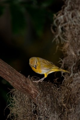 DSC_1895.jpg