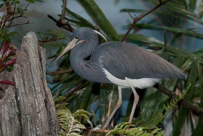 DSC_1911.jpg