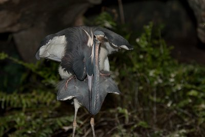 DSC_1915.jpg