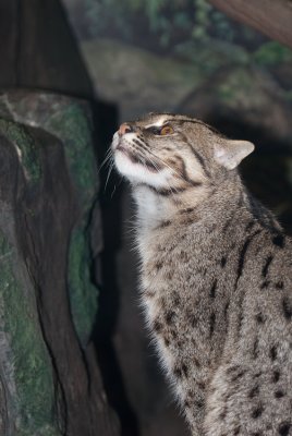 DSC_2196.jpg